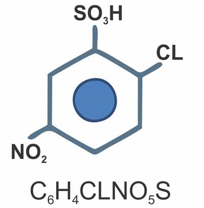para-nitro-chloro-benzene-ortho-sulphonic-acid